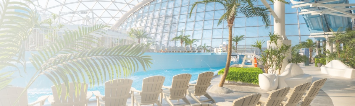 онлайн-покупка <br>билета